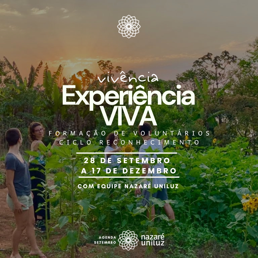 202608_banner-mobile-VIVA