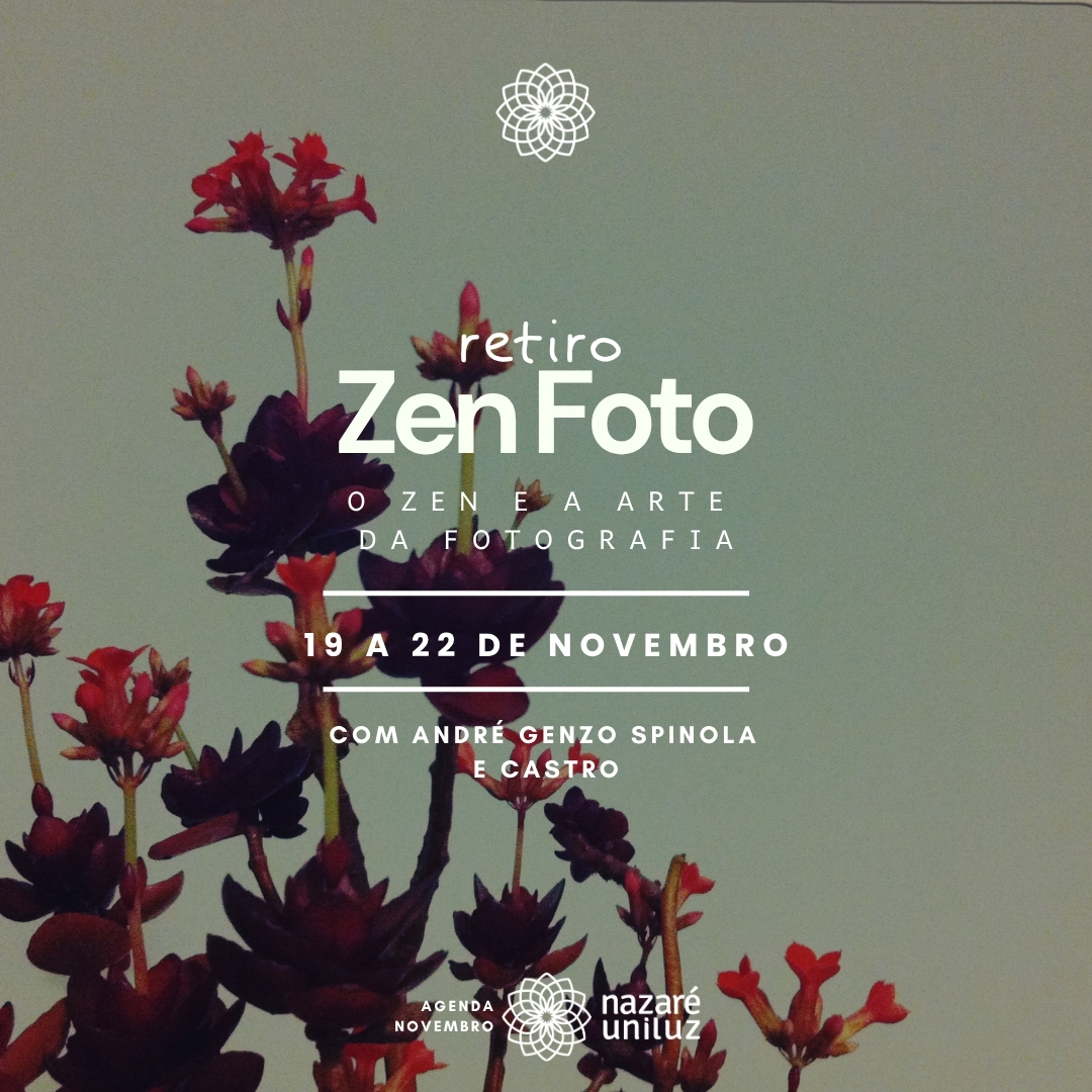 202611_banner-mobile_Zen_Foto