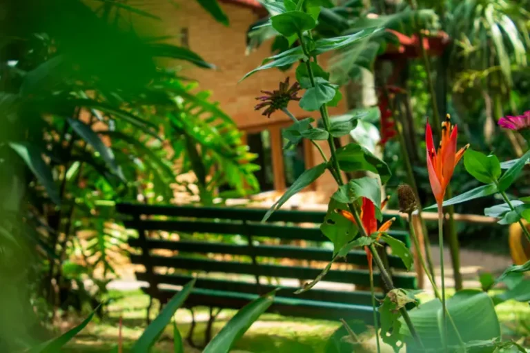 site-universidade-visita-guiada-natureza-e-meditação