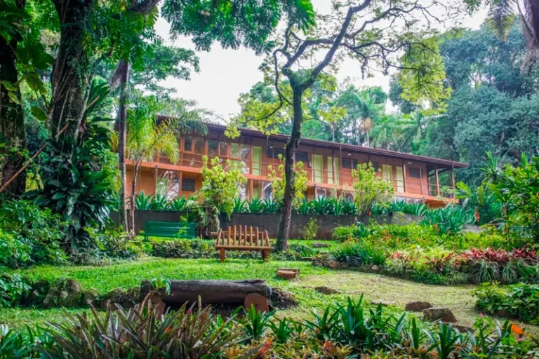 site-universidade-a-yoga-de-krishna-09