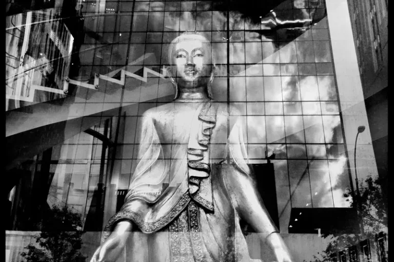 zen-foto-03