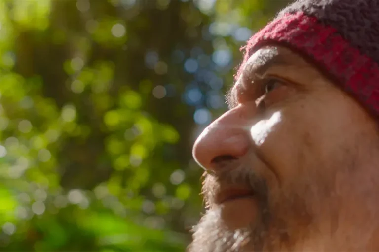 site-universidade-mindfulness-e-banho-de-floresta-02