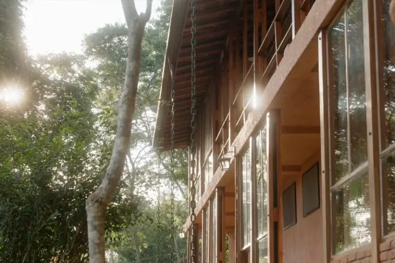 site-universidade-mindfulness-e-banho-de-floresta-05