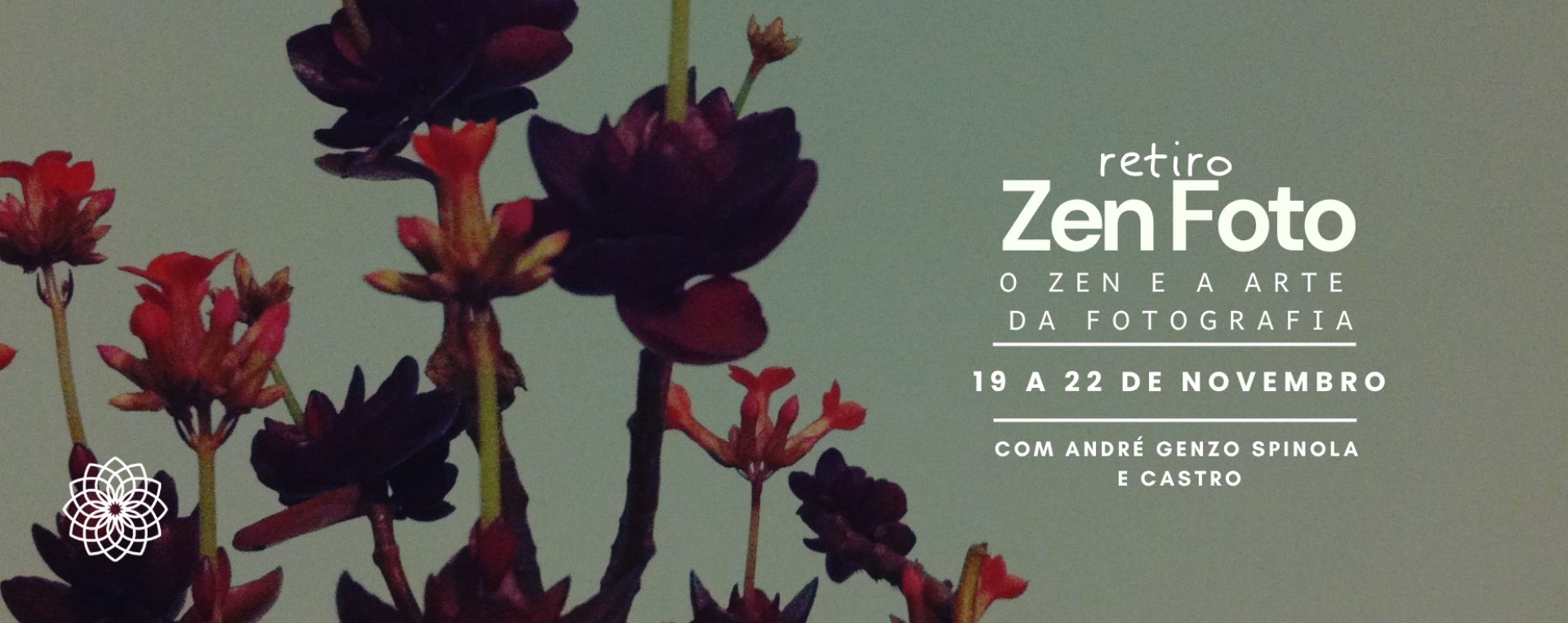 202611_banner-wide_Zen_Foto.jpg