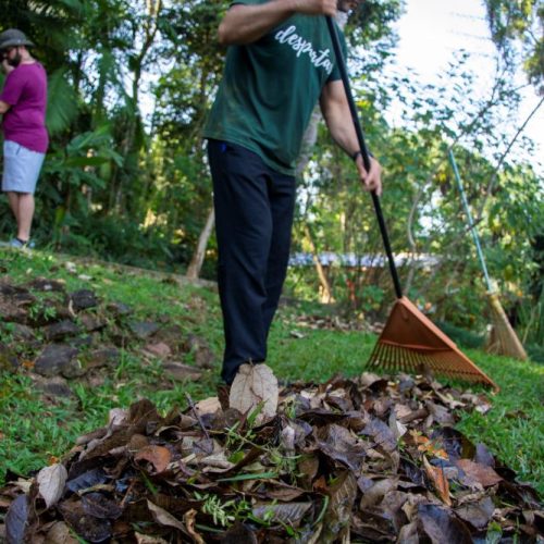 Institucional-voluntariado-experiência-viva-10 (1)