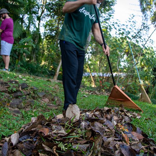 Institucional-voluntariado-experiência-viva-10
