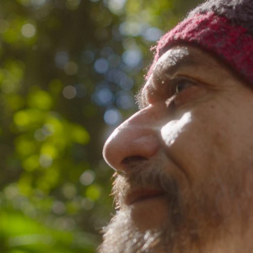 original-mindfulness-e-banho-de-floresta-04