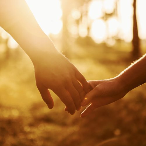 Close up view of hands. Happy couple is outdoors in the forest at daytime