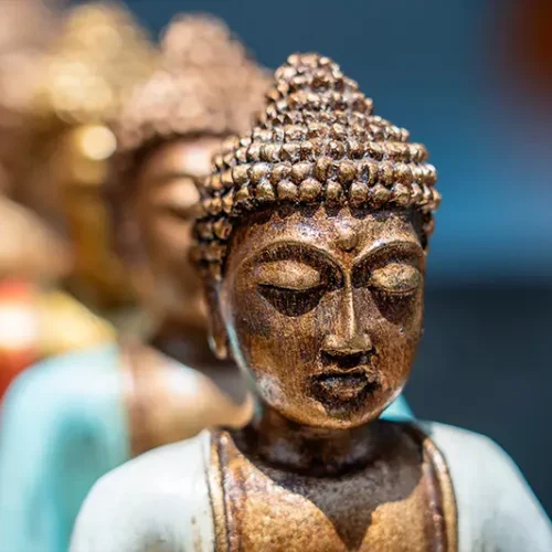 site-universidade-psicologia-budismo-tibetano-01