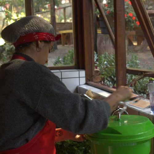 voluntario-amigo_5517